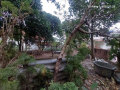 Full thổ cư, 272m2, mt11m, ô tô 7 chỗ thông, 5.5 tỷ, Phú Cường, Sóc Sơn.