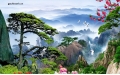 tranh ốp tường 3d