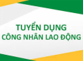 TUYỂN NHÂN VIÊN PHỤC VỤ NHÀ HÀNG