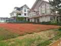 Chính Chủ bán lô 400 Đất biệt thự Sinh Thái Đan Phượng- The Phoenix Garden-Thị Trấn Phùng-Hà Nội.