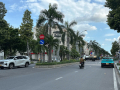 Bán Biệt thự đẳng cấp 4 lầu ngang 12m ngay KDC Cityland P.10 240m2 tiện ích VIP chỉ 55 tỷ