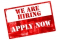 Tuyển dụng giáo viên IELTS tại quận Gò Vấp