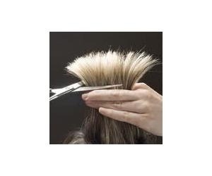 Salon tóc Thế Dũng 341 Khương Trung tuyển thợ phụ   Học viên nghề tóc