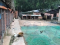 Cần bán gấp trang trại gà đá + nhà ở 3PN Nhơn Trạch