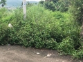 Bán Gấp Đất Hoàng Văn Thụ – Liên Nghĩa – Đức Trọng.