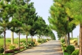 bán biệt thự the phoenix  garden 200m2 lô gần công viên