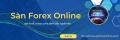 Hướng dẫn đăng ký mở tài khoản forex sàn Exness tại Việt Nam