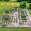 MUA MẢNH ĐẤT – ĐỂ DỪNG LẠI, THỞ MỘT CHÚT…