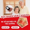 Tuyển đại Lý Phân Phối Nhân Sâm Canada