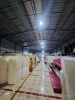 Cho Thuê Kho Xưởng 5.100m² Đường Tân Thới Hiệp 21, P. Tân Thới Hiệp, Q12 – Giá 310 Triệu/Tháng