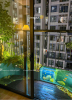 Bể Cá Composite: Sự Lựa Chọn Thông Minh Cho Người Chơi Cá Cảnh