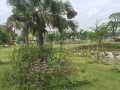BÁN NHÀ LIỀN KỀ 72 M2, GIÁ CỰC KỲ HỢP LÝ