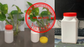 Hủ nhựa 50 gam, bán hủ 100 gam, hộp nhựa 250gr, hủ 500g đựng kẹo, hộp 1 ký đựng bột