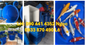 SX thùng nhựa lớn 1800L, thùng nhựa kích thước lớn 2000 lít, thùng nhựa 3000L vuông