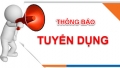 Tuyển dụng giáo viên IELTS tại quận Gò Vấp