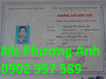 Học nhanh chứng chỉ nghiệp vụ thông tin thư viện ở đâu uy tín