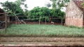 Nhượng 64m đất thổ cư Ông cha để lại giá 5,5tr