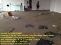 Bán giấy dán tường, thảm trải cầu thang văn phòng