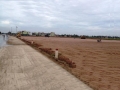 Bán đất Ninh Giang, Hải Dương giá tốt DT 36.505m2