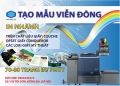 Làm túi nilon quà tết nhanh tại Hà Nội -ĐT 0904242374
