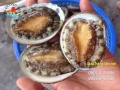 Tuyển giao hàng lương cao