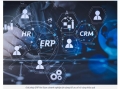 Phần mềm ERP Việt Nam