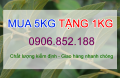 Giải pháp chữa trị bệnh gan nóng với những loại trái cây