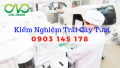 Chỉ tiêu kiểm nghiệm trái cây tươi theo đúng quy chuẩn