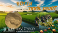 Bột Cá nguyên liệu sản xuất Thuốc Chuột tốt nhất, phù hợp nhất