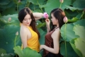 Thiếu nữ yếm đào bên sắc sen hồng