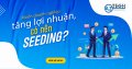 Doanh nghiệp có nên Seeding trước khi chạy quảng cáo không?