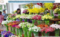 Cửa hàng hoa tươi gần đây nhất tại Tam Hiệp