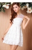 Đầm ren xòe sát nách cổ phối lưới sang trọng (hàng cao cấp)