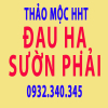 Đau hạ sườn Phải