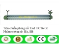 ĐÈN TUÝP LED CHỐNG CHÁY NỔ 2X18W ( 1,2M) DHTECH
