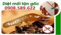 Dịch vụ diệt mối tận gốc