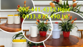 Hủ nhựa 1 ký đóng gói thực phẩm xuất khẩu, hủ nhựa 1.5 ký đựng ngũ cốc, hủ nhựa 2 ký đựng kem