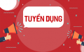 Tuyển giáo viên IELTS tại quận Gò Vấp