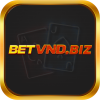 betvndbiz