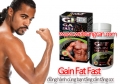 Gain Fat Fast – Ăn không nhiều vẫn tăng cân đều đặn