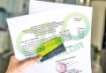 Giấy phép lưu hành tự do cho chả lụa chay xuất khẩu