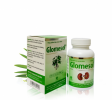 Glomesol - Giúp lợi tiểu, hỗ trợ giảm triệu chứng thận hư