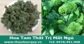 Hoa tam thất non chữa mất ngủ, bồi bổ cơ thể, hỗ trợ trị ung thư (giao hàng toàn quốc)