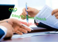 Hướng dẫn đăng ký kinh doanh cho doanh nghiệp