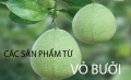 Những lợi ích kỳ diệu của tinh dầu bưởi