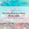 Hướng dẫn xin giấy phép lưu hành tự do – CFS cho hàng hoá xuất khẩu
