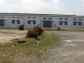 Cho thue kho bai nha xuong 8300m2 Le Van Khuong Quan 12