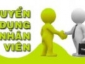 NHÂN VIÊN BÁN HÀNG, KINH DOANH