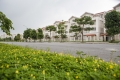 Cần bán gấp nhà biệt thự song lập khu N09, S: 175m2. Giá 5.5 tỷ