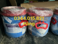 Iodine 99% sát khuẩn, diệt nấm, xử lý nước, ngăn ngừa bệnh cho vật nuôi